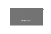 RG-EG210G-P